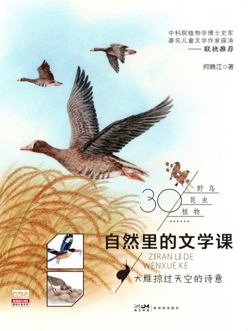 Cover image for 大雁掠过天空的诗意